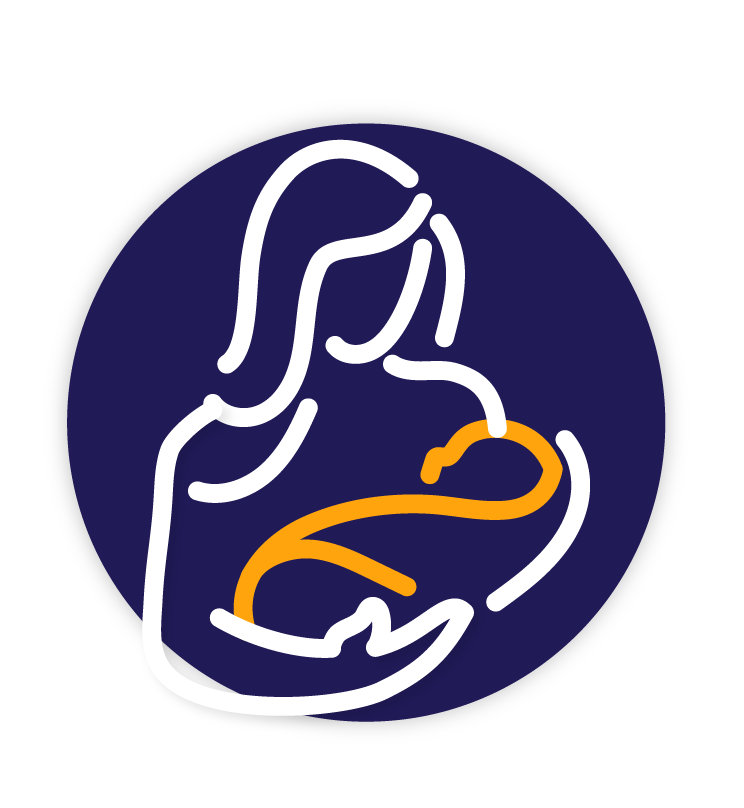 Delivery Icon